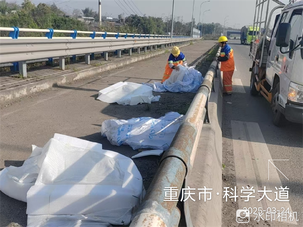 快速路一、二纵线垃圾清理行动成效显著