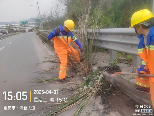 图片1(1).png