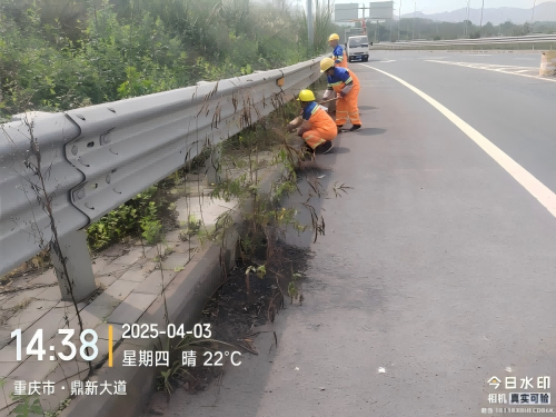 图片4(1).png